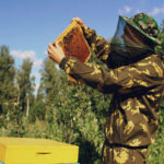 Beekeeping