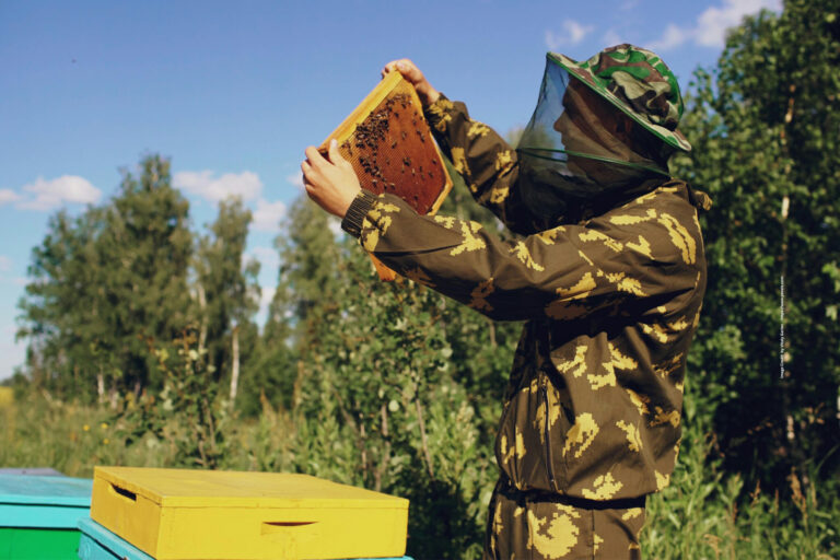 Beekeeping