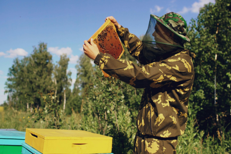 Beekeeping