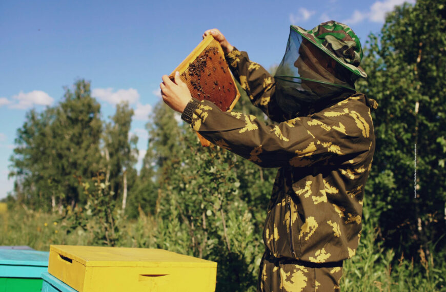 Beekeeping