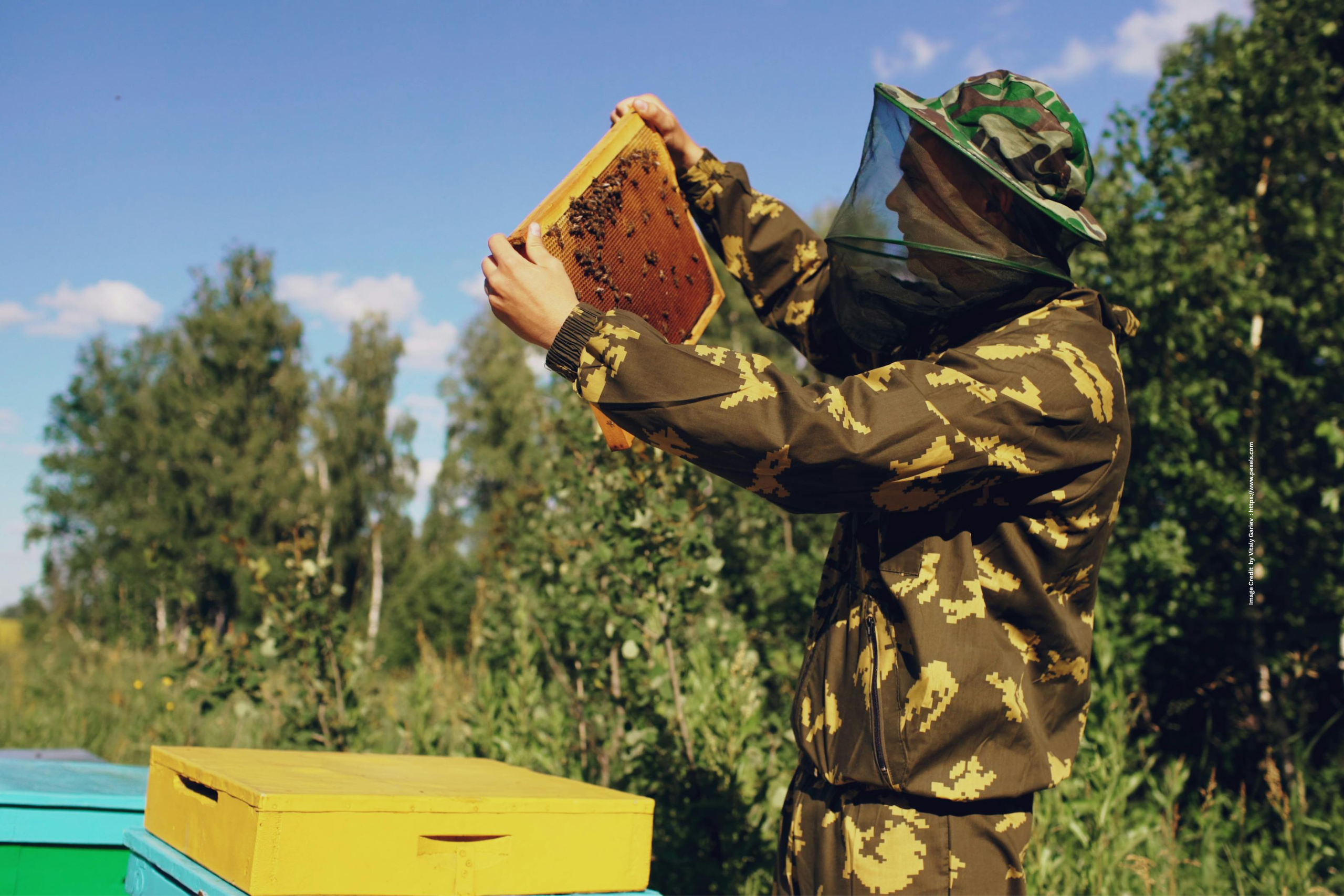Beekeeping