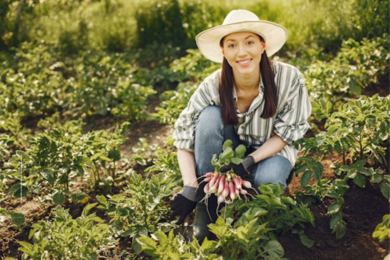 Career in Organic Farming