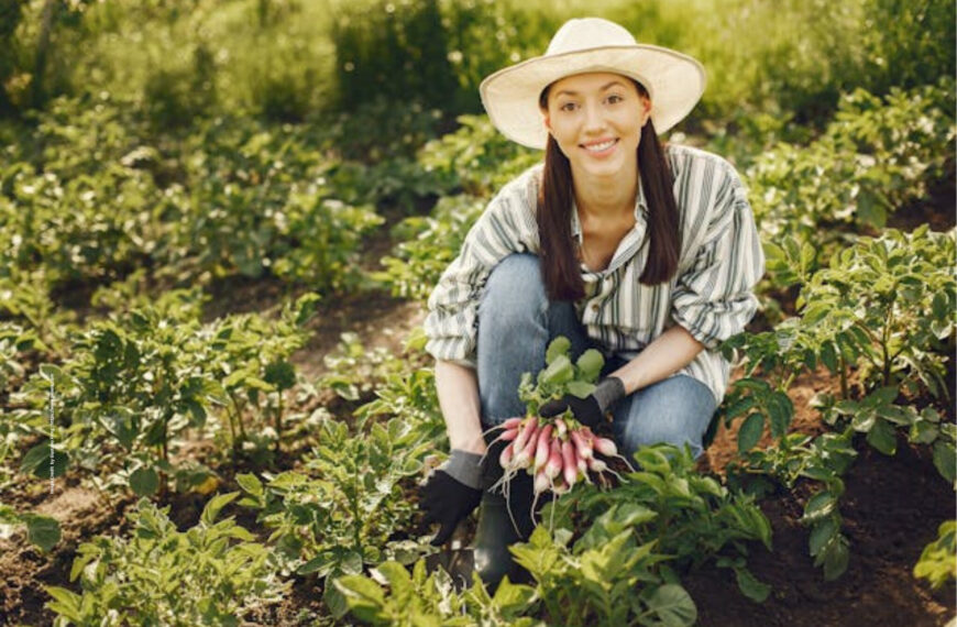 Career in Organic Farming