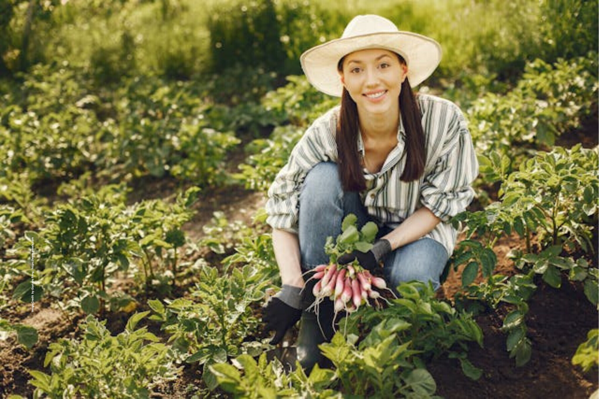 Career in Organic Farming