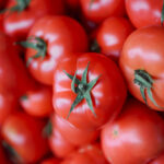Tomato processing