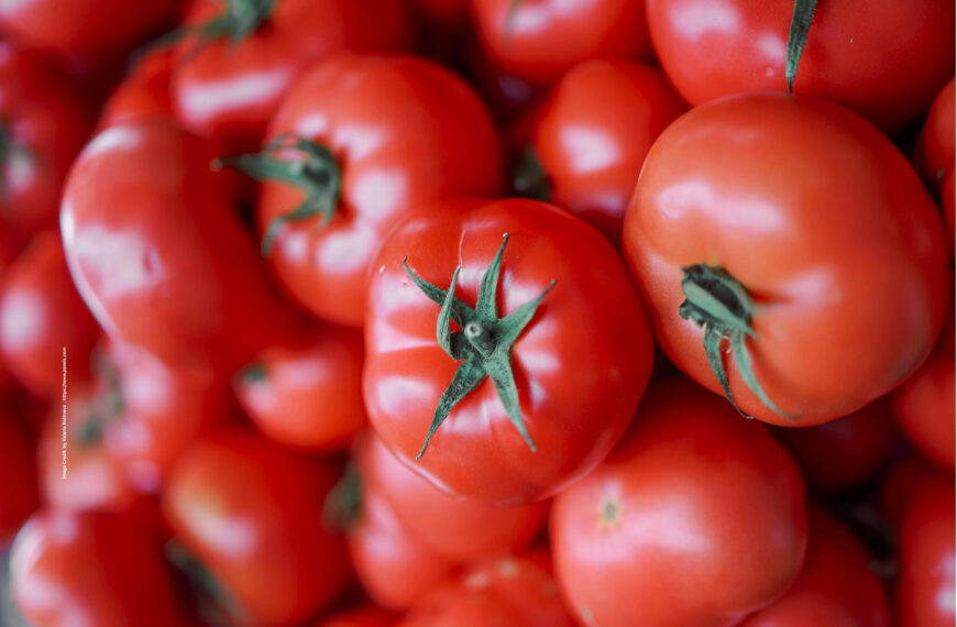 Tomato processing