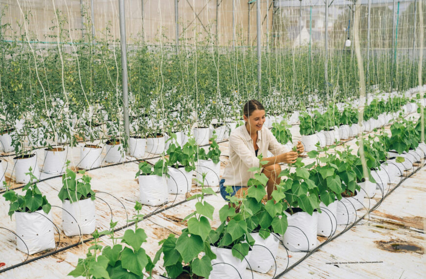Vertical Farming