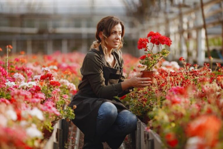 How to Grow Flowers