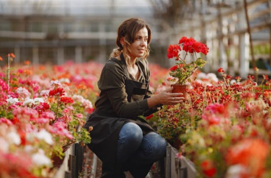 How to Grow Flowers