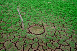Climate Change and Agriculture