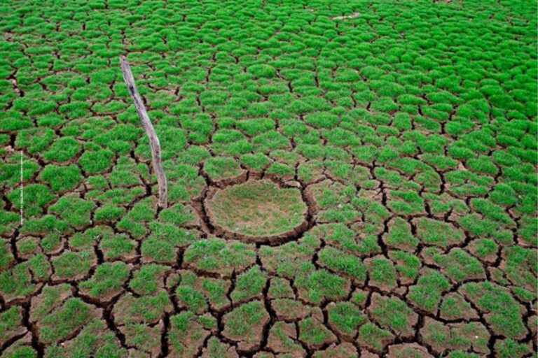 Climate Change and Agriculture