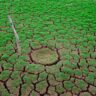 Climate Change and Agriculture