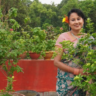 Urban & Terrace Gardening