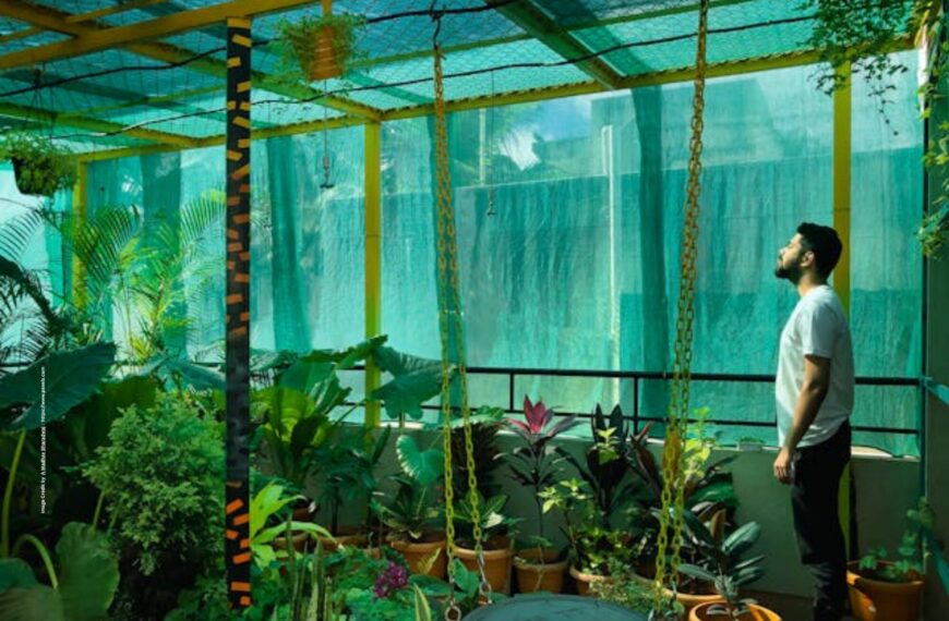Terrace Gardening