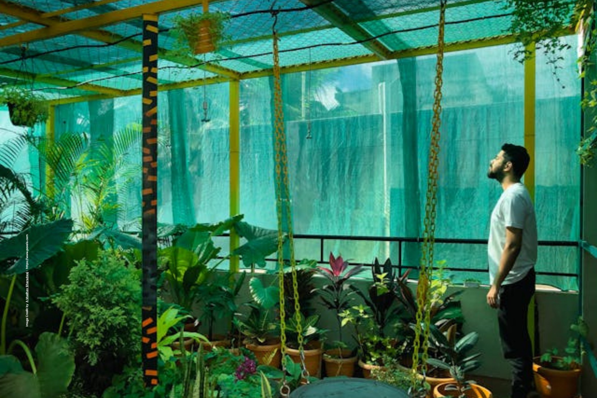 Terrace Gardening