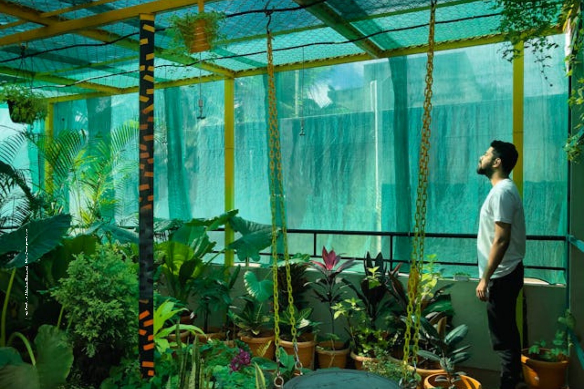 Terrace Gardening