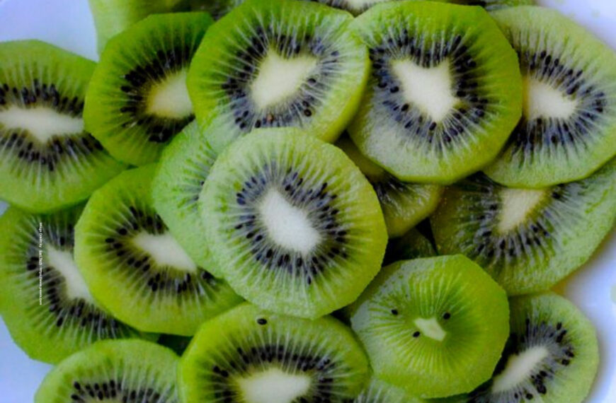 Kiwi Farming