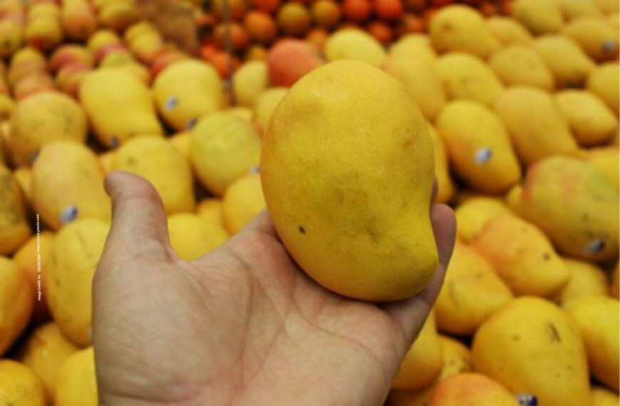Mango