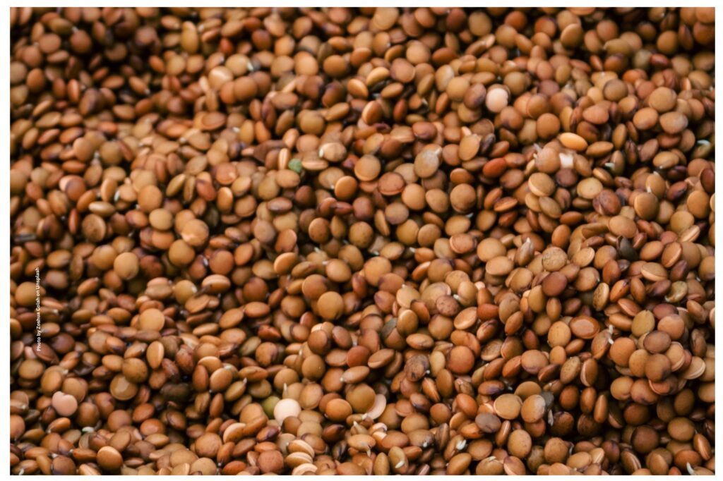 Horse Gram