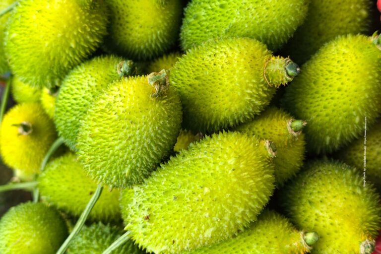 Spiny Gourd