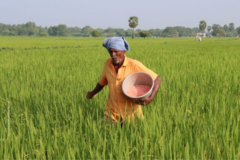 PM Kisan Yojana