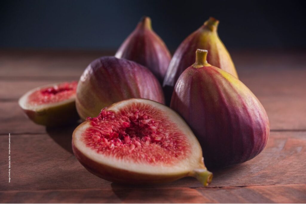 Fig Cultivation