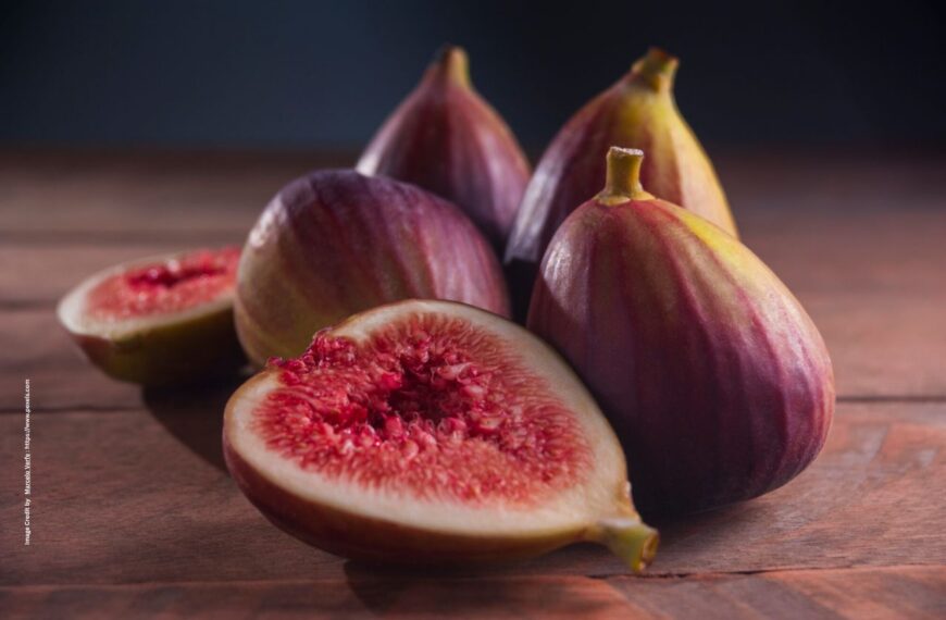 Best Fruit Crops for Small Farmers