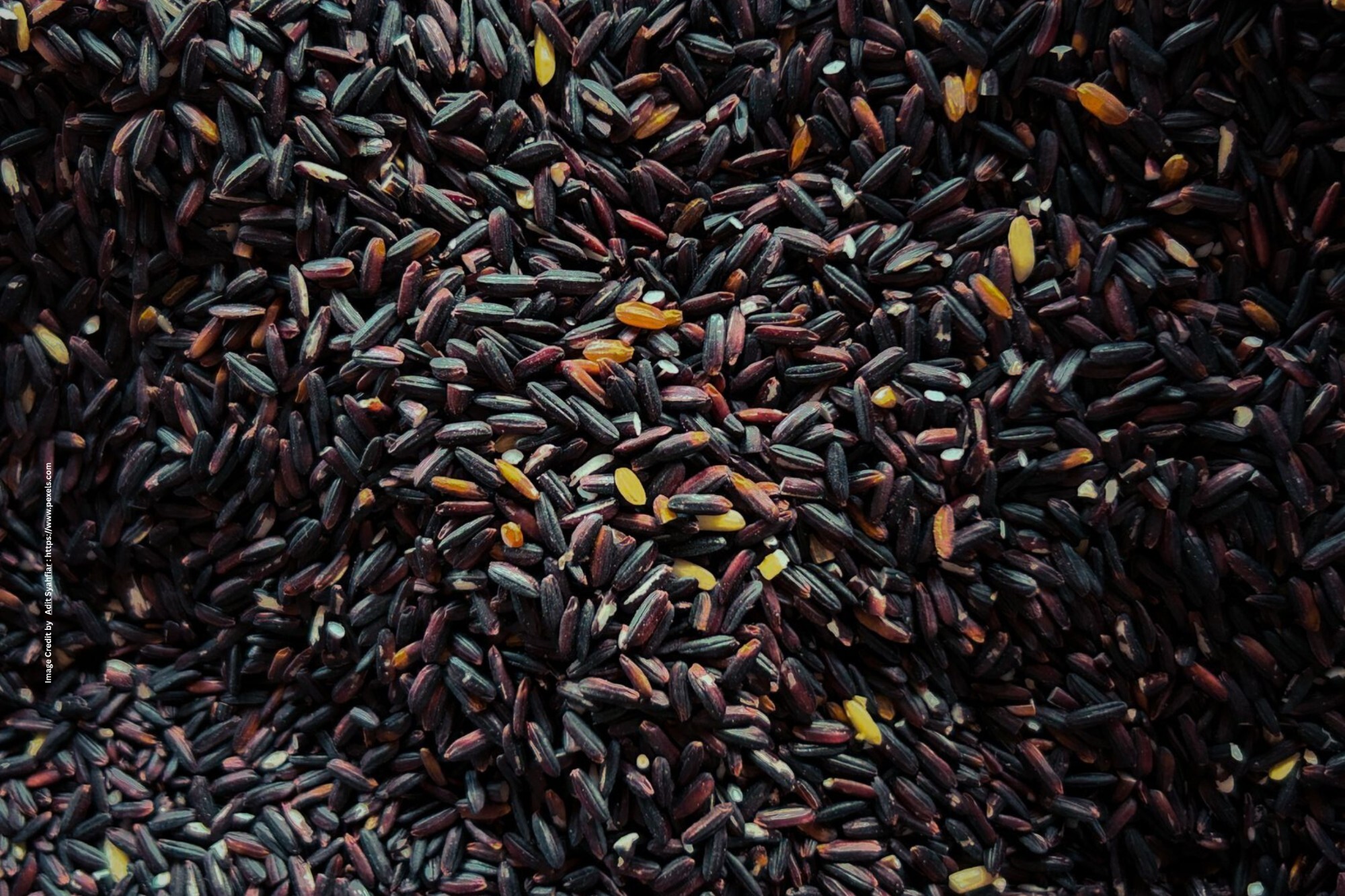 Kala Namak Rice